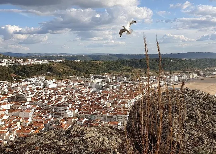 Гостевой дом By The Назаре